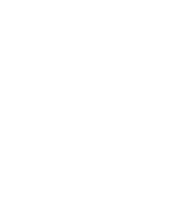 Sorsi e Morsi